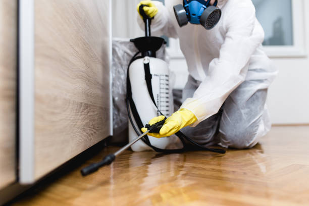 Pest Control Cost in Grand Junction, CO