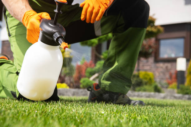 Flea Control Services in Grand Junction, CO