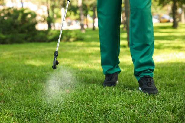 Reliable Grand Junction, CO Pest Control Solutions