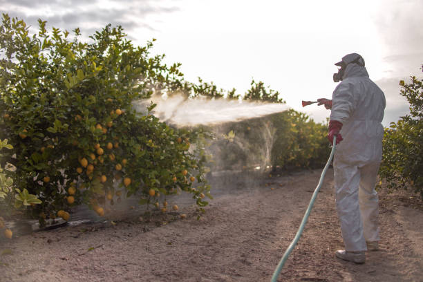 Best Mosquito Control Services  in Grand Junction, CO