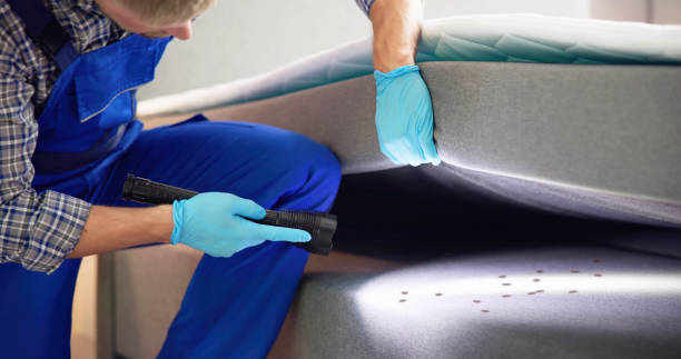 Best Local Pest Control Services  in Grand Junction, CO