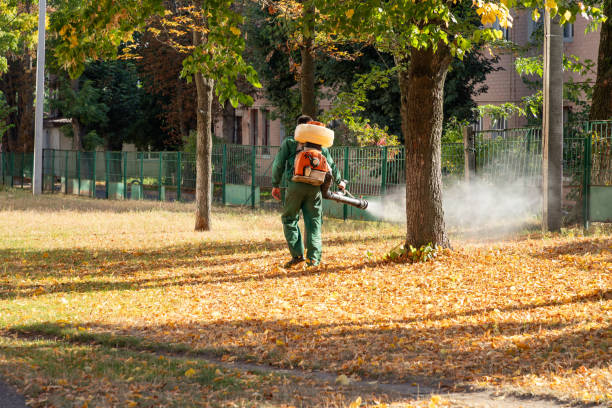  Grand Junction, CO Pest Control Pros