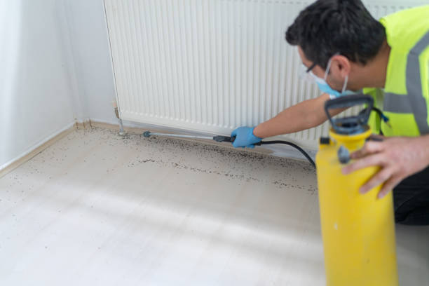 Best Best Pest Control Near Me  in Grand Junction, CO